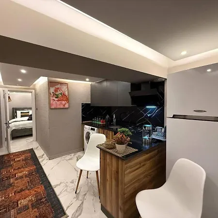 Daire Cozy 1br Basement Close To Metro *