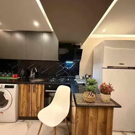 Cozy 1br Basement Close To Metro דירה *