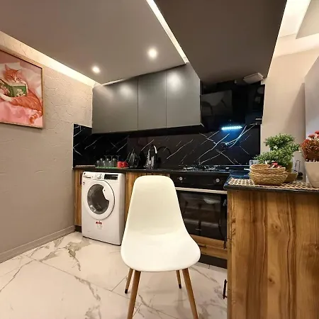 Cozy 1br Basement Close To Metro