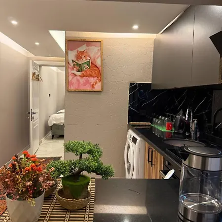 Cozy 1br Basement Close To Metro דירה *