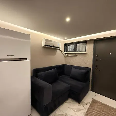 Cozy 1br Basement Close To Metro Daire