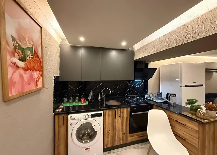 Cozy 1br Basement Close To Metro