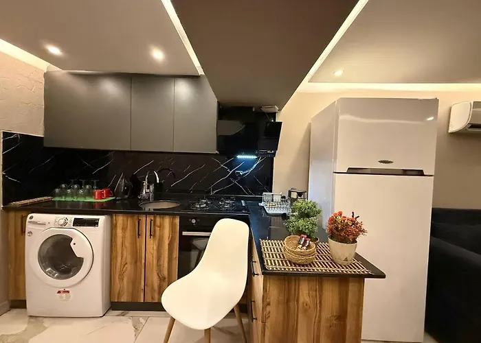 Cozy 1br Basement Close To Metro Daire *