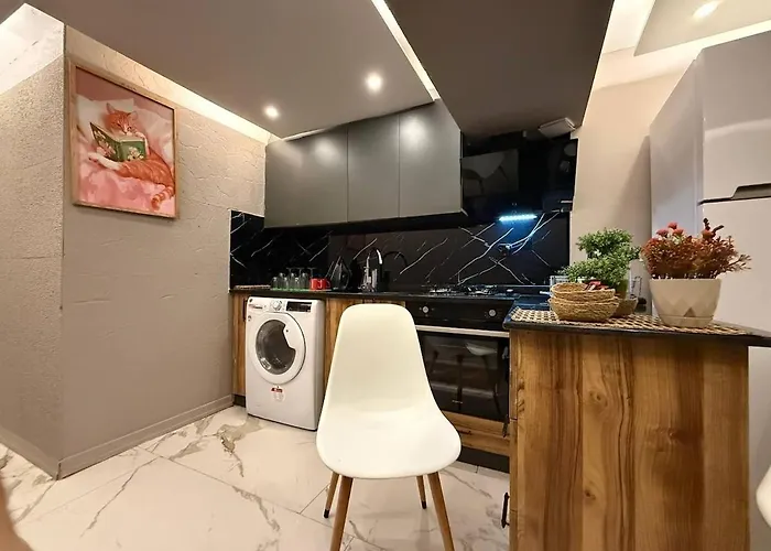 Cozy 1br Basement Close To Metro