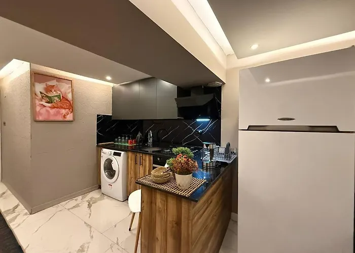 Cozy 1br Basement Close To Metro *