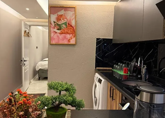 Cozy 1br Basement Close To Metro Daire *