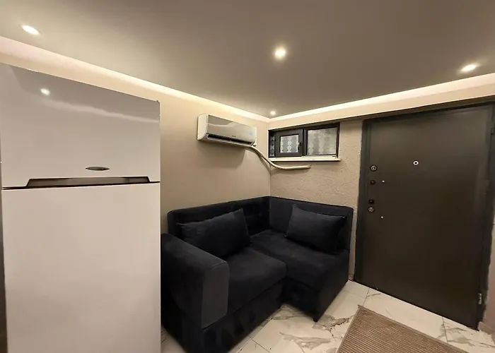 Cozy 1br Basement Close To Metro Daire