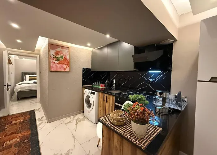 Daire Cozy 1br Basement Close To Metro İstanbul