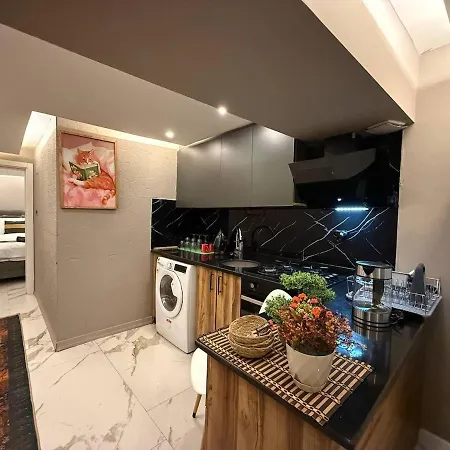 アパート Cozy 1br Basement Close To Metro イスタンブール